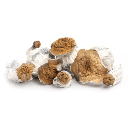 A+ mushrooms A+ Magic Mushrooms