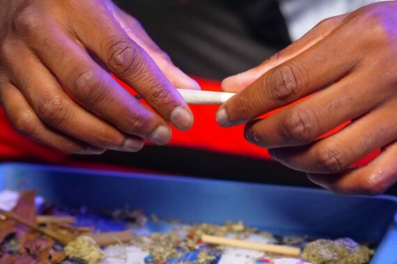 9 Ways to Save on Cannabis in Roslindale